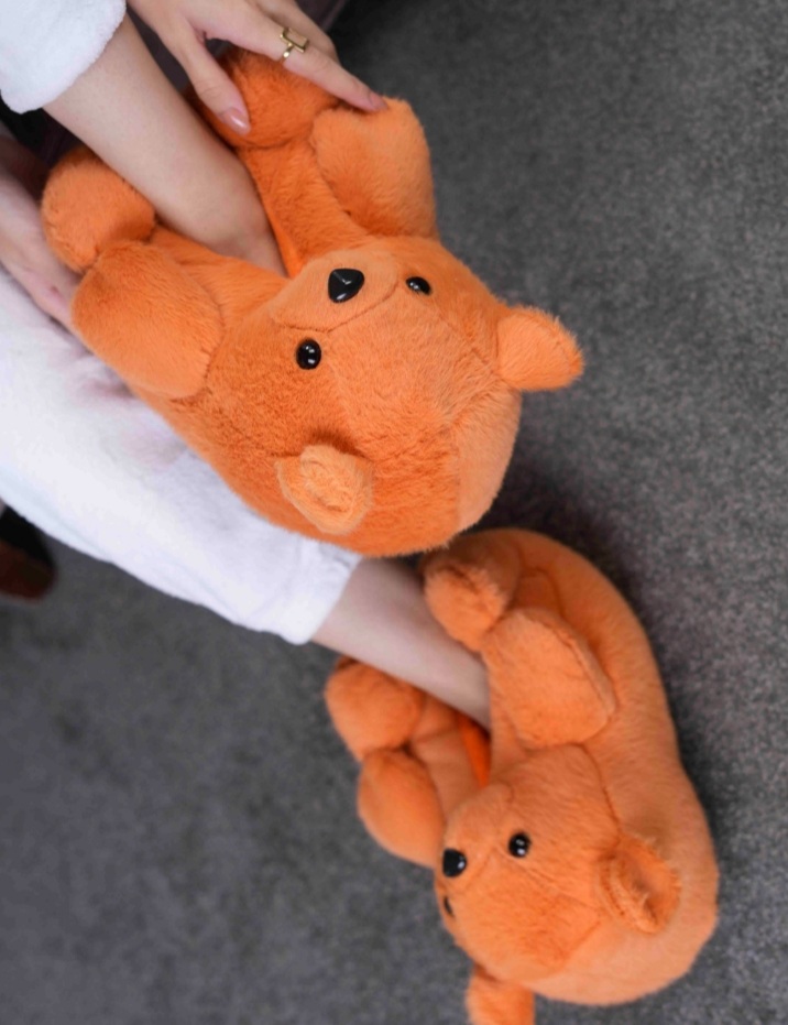 پاپوش پاگنده خرسی وارداتی